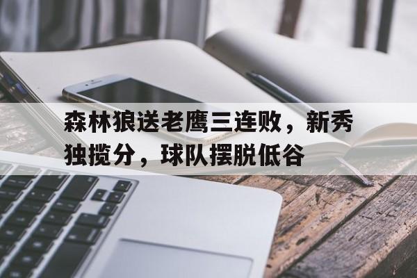 森林狼送老鹰三连败，新秀独揽分，球队摆脱低谷的简单介绍